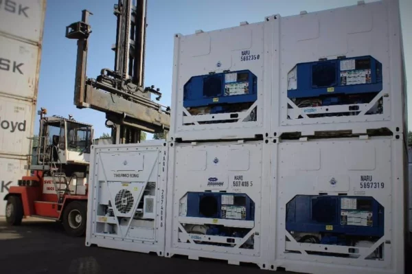 Container réfrigéré Carrier 20' REEFER HC-Neuf - Image 3